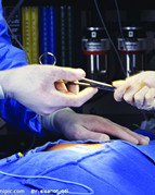 實(shí)施急救演練,提升應(yīng)急能力